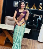 Meenakaari Silk Saree