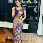 Meenakaari Silk Saree