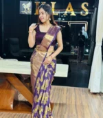 Meenakaari Silk Saree