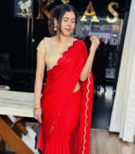 Chinnon Saree - Image 4