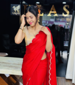 Chinnon Saree - Image 3