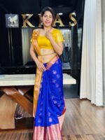 Pattu Saree - Image 4