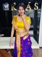 Pattu Saree - Image 4